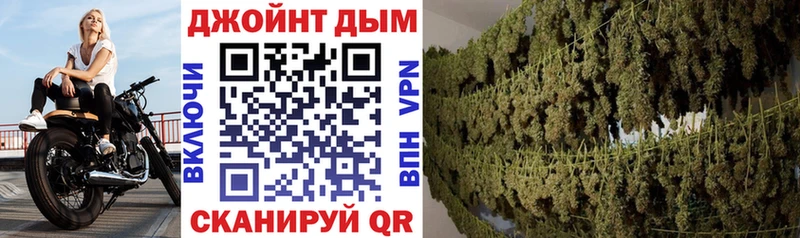 Каннабис планчик  Андреаполь 